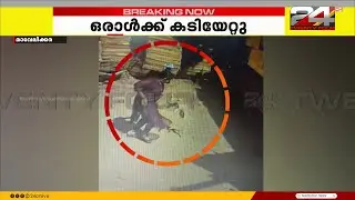 മാവേലിക്കര KSEB ഓഫീസിൽ തെരുവുനായ ആക്രമണം, രക്ഷപ്പെടാൻ ശ്രമിക്കുന്നതിനിടെ ജീവനക്കാരിക്ക് പരുക്ക്