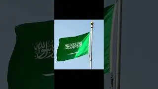 Saudi Arabia Diversification Economy Paper | US Abroad Study Duration 2011 | Related to Vision 2030