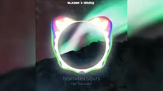 Neosky x Blazer - Northern Lights (feat. Tanushree)