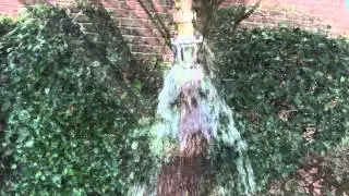 Rasco Fire Sprinkler Demo
