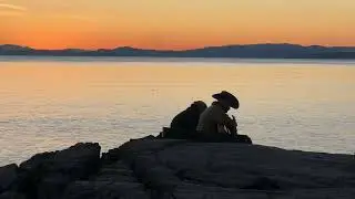 🇨🇦 Victoria BC in Jan 2026 looks amazing 