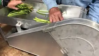 Shelling peas the right way!