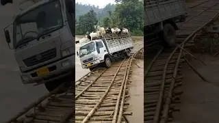 Goat Truck Disaster: Bamboo Bridge Collapses Into Flooded River!#truck #viralvideo#dumptruck#shorts