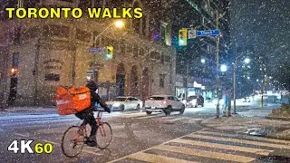 Intense Toronto Snowfall Walk on New Year's Day 2021