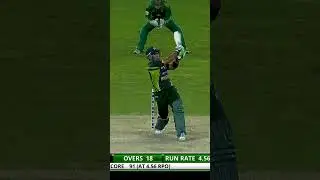 Umar Akmal Goes STUNNING Then Gets Run Out 😱 #PAKvSA #SportsCentral #Shorts #PCB M8B2K