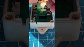 Chip replacement process