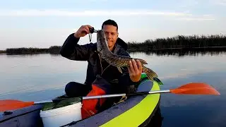 O cautăm pe cumătra știucă !!!
