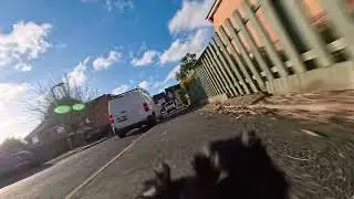 Black Yorkie Christmas Day shoot in the Insta360 harness.  Using the Insta360 GO Ultra.