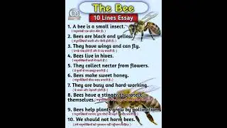 10 Lines Essay on The Bee in English | Short English Essay On Bee for Students of Class 1 to 3