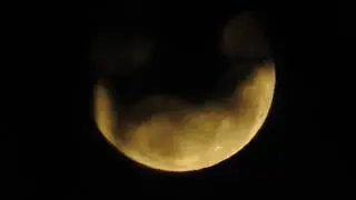 20180302T1840 X83 moon %99.1 rising moon through the trees