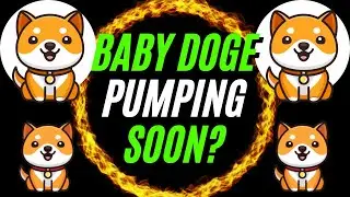 HOW BABY DOGE COULD PUMP SOON! BABY DOGE COIN TECHNICAL ANALYSIS 📈