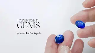 Expertise in gems by Van Cleef & Arpels | Part 4: Sapphires