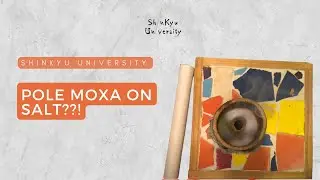Pole moxa on salt??!