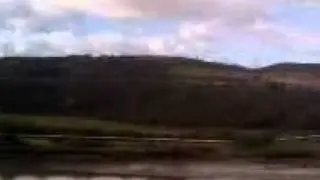 Shelone woods view.3gp