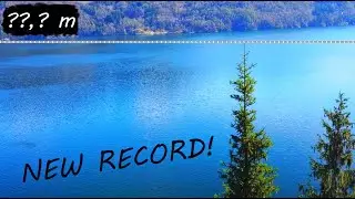 New Nordic Record Spruce 2025 (Picea Abies)