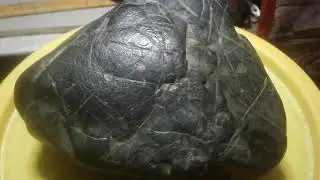 Chondrite Meteorite with fresh fusion crust