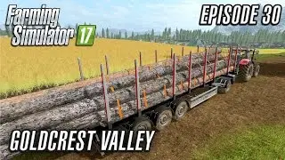 Давайте поиграем в Farming Simulator 2017 | Голдкрест-Вэлли | Эпизод 30