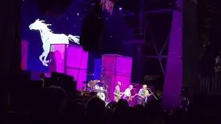 Neil Young - Sedan Delivery 5-9-24 Franklin, Tennessee FirstBank Amphitheater