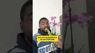Английский странный язык как Orchid не произносится как Orchid