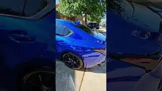 Ceramic Coating Showcase | Corvette, Raptor, BMW & More!