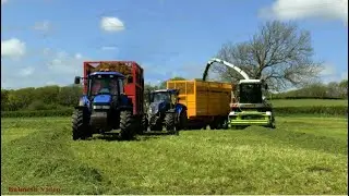 Silaging with Claas.  Motley Bevy of Tractors in Support.