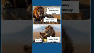#мем #юмор #прикол