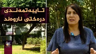 تایبەتمەندی درەختی ناروەند