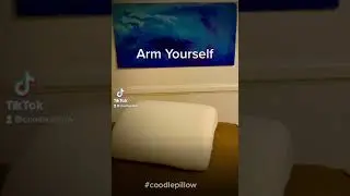 Coodle pillow arm protection