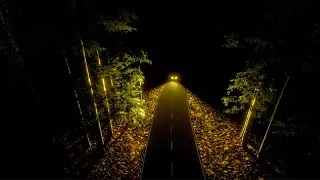 A late night visitor-Vacation home