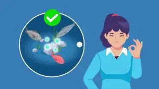 Our Holding Tank Digester, Explained | Marine Hygiene