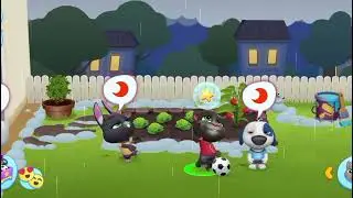 Talking tom friends 