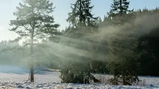 Early Winter Moods in Sweden - Home