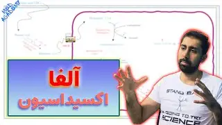 آلفا اکسیداسیون در بیوشیمی / Alpha oxidation