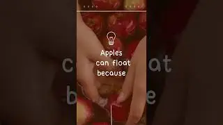 Apple Float?! Here's the Science Behind It 🤔 #shorts