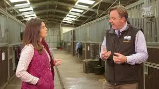 Mental Well being of Horses