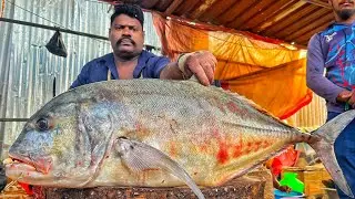 KASIMEDU 🔥 SPEED SELVAM | HUGE GIANT TRAVELLY FISH CUTTING VIDEO | 4K VIDEO | KM FISH CUTTING