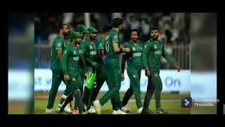 Matthew Wade batting today match| Shahin Afridi Last over| Pak vs Aus Semi finals 2 Highlights match