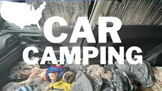 The struggles of sleeping in a car | sleeping in a small car with your dog #carcamping #gigworker