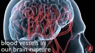 These Immune Cells Repair Broken Blood Vessels