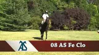 Caballo 08 AS Fe Clo