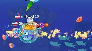 #sword Shark.io🌊🦈6#mobile#game@FishgamesFishDom24   #eatfish#fisheater#fishevolution #fullgameplay