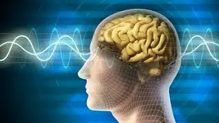 Learn How the Future Bionic Body Will Go Wireless