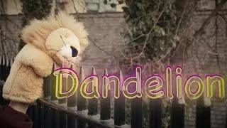 Dandelion
