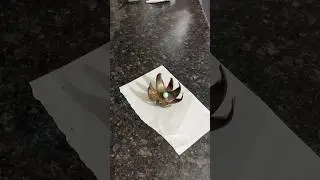 New Chocolate garnish flower | #chocolategarnish