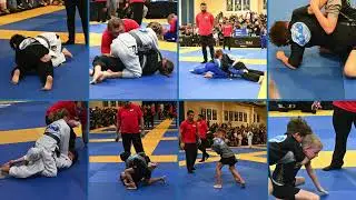 Kids BJJ Competition Highlights | Heart, Grit & Respect | Global Brazilian Jiu-jitsu Naples FL