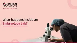 Inside an Embryology Lab | Gunjan IVF World, Janakpuri