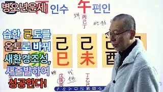병오년운세#기토일주#신년운세