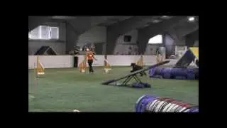 Afghan Hound Ishnyara del Ghyryo in agility, Feb 2014