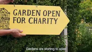 Visit a National Garden Scheme garden - Tracey Bleakley, CEO of Hospice UK