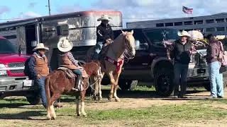 Cavalgada em El Nido California 